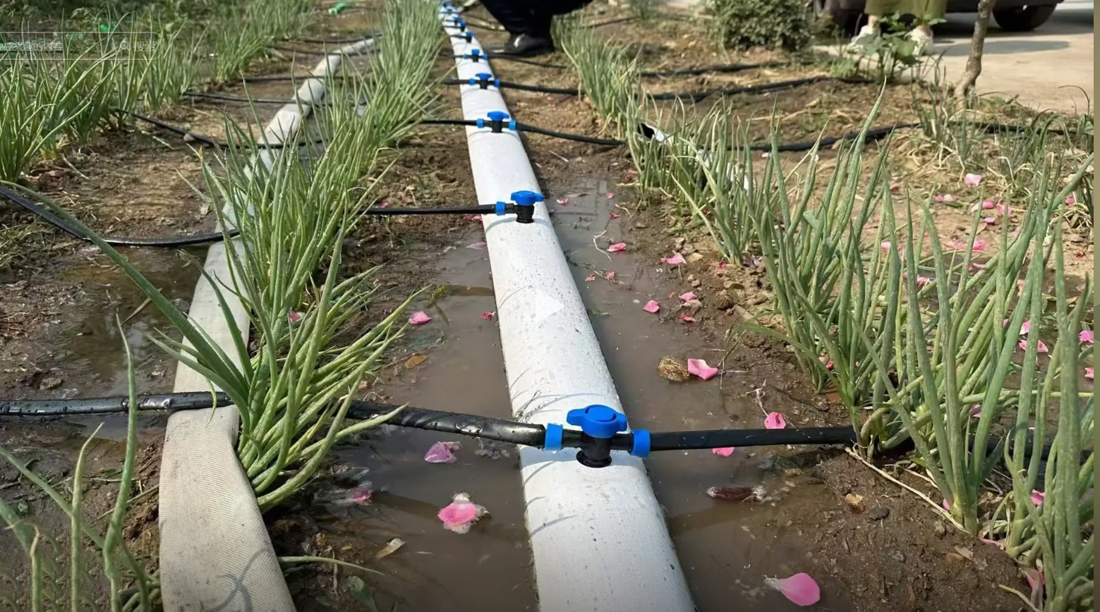 果树类适合的预制孔水带类型有哪些？