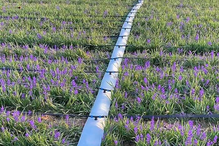 预制孔水带技术革新，多领域应用开启高效输水新时代​